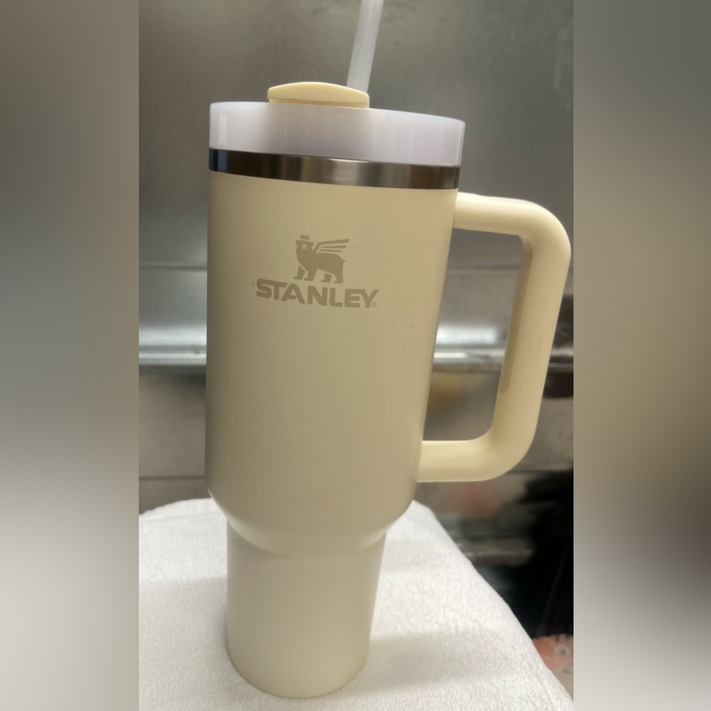 Stanley H2O 30oz insulated tumbler 
Like brand New!